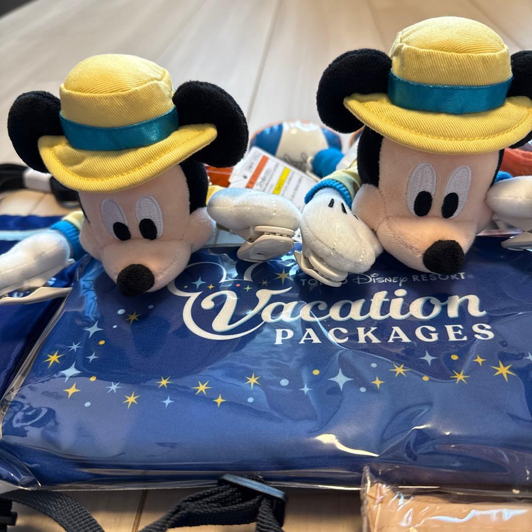 ディズニーリゾート バケーションパッケージ セット