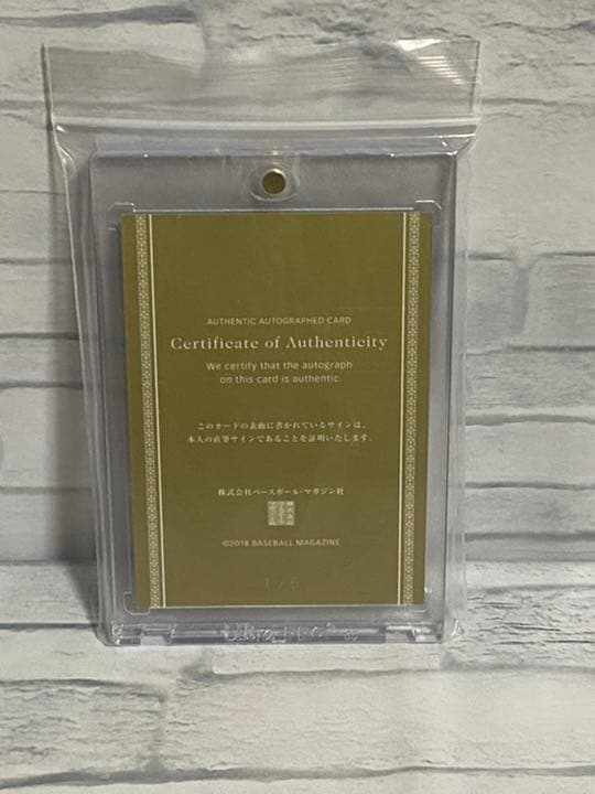 西川遥輝　BBMカード　PICTURESQUE