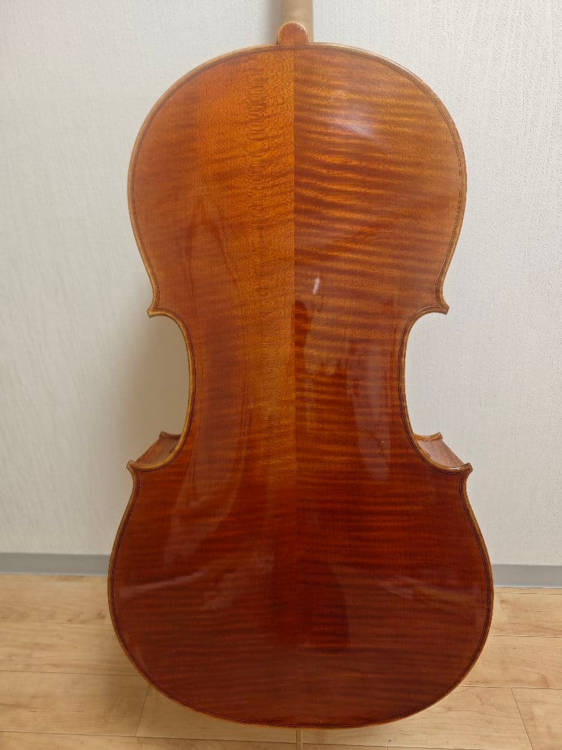 【Tm】Pygmalion Rubino 350S　チェロ
