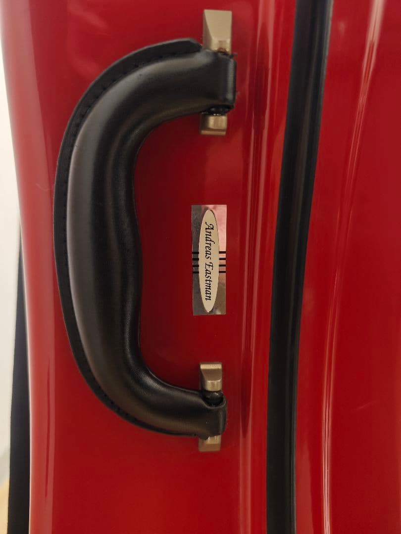 【Tm】Pygmalion Rubino 350S　チェロ