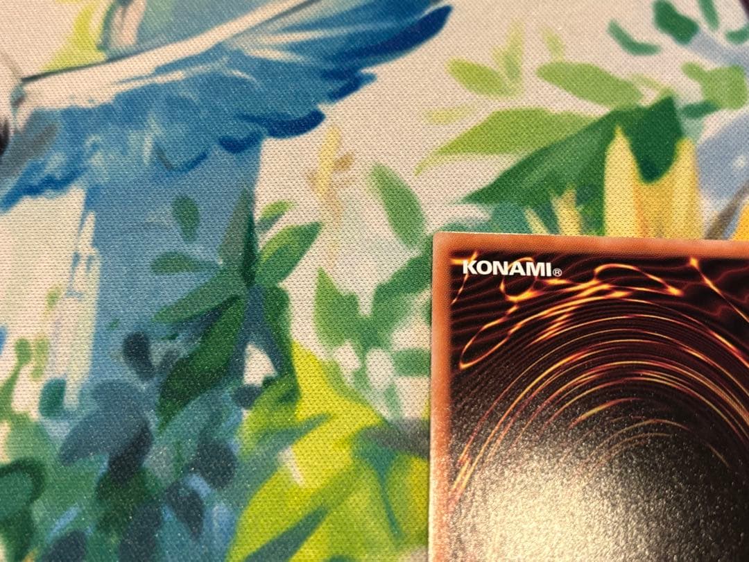 赫の聖女カルテシア 絵違い 25thシク