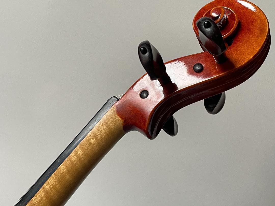 バイオリン Carlo giordano VS-4 4/4サイズ