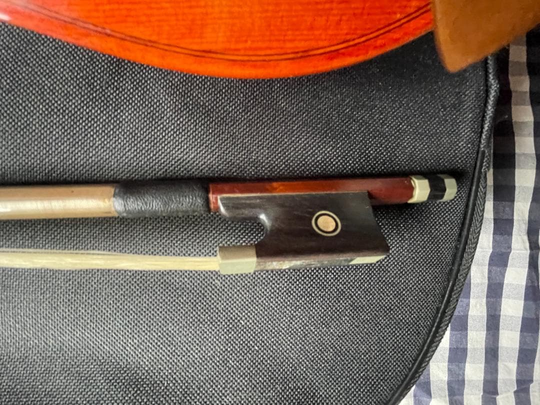 バイオリン Carlo giordano VS-4 4/4サイズ