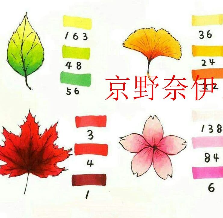 マーカーペン 204色セット 漫画 デザイン イラスト コピック練習用X京野m