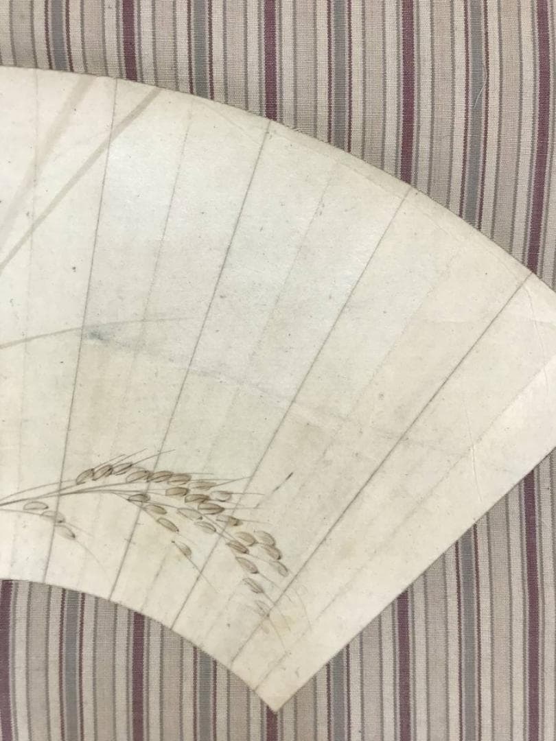 【真作】松村景文/扇面/稲穂バッタ図/秋図/花鳥図/掛軸/名家伝来/AD-284