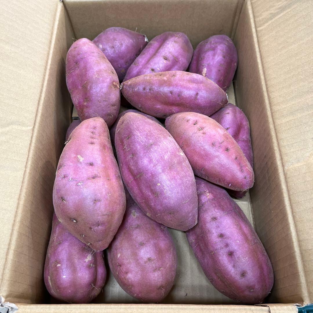 栗かぐや Lサイズ 20kg