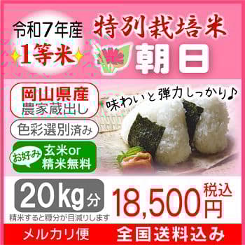 令和7年産 希少米 緑肥＆有機肥料 特別栽培米【朝日】20キロ
