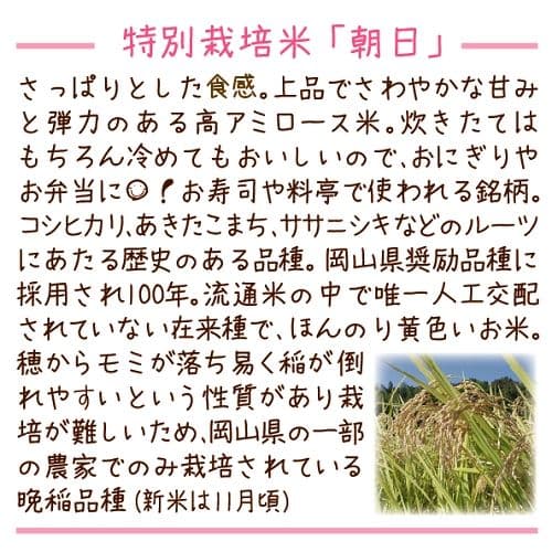令和7年産 希少米 緑肥＆有機肥料 特別栽培米【朝日】20キロ
