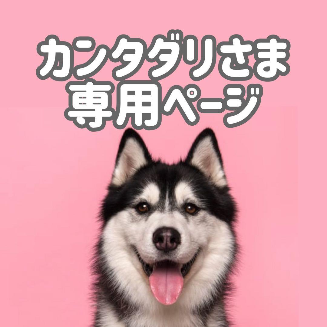 BM18◯● カンタダリページ●◯