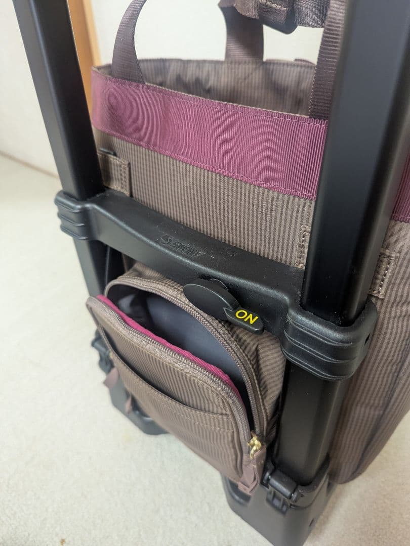 SWANYキャリーバッグ★ D-577ルバンドミニIII グレージュ 美品