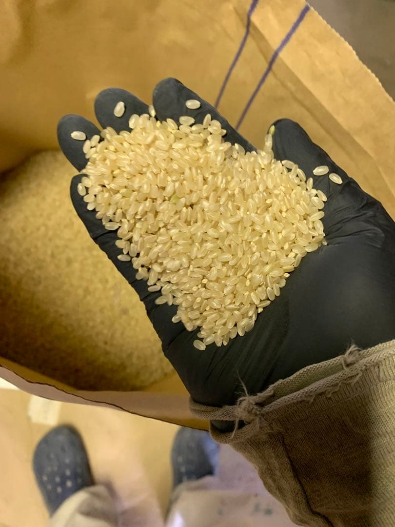 【受賞米】山形県つや姫　玄米３０キロ　農家のお米　精米可　プレミアム米