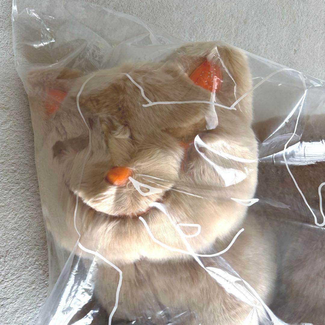 ★新品【リイシュー ねこちゃん Grande】アプリコット ベージュ 米津 玄師