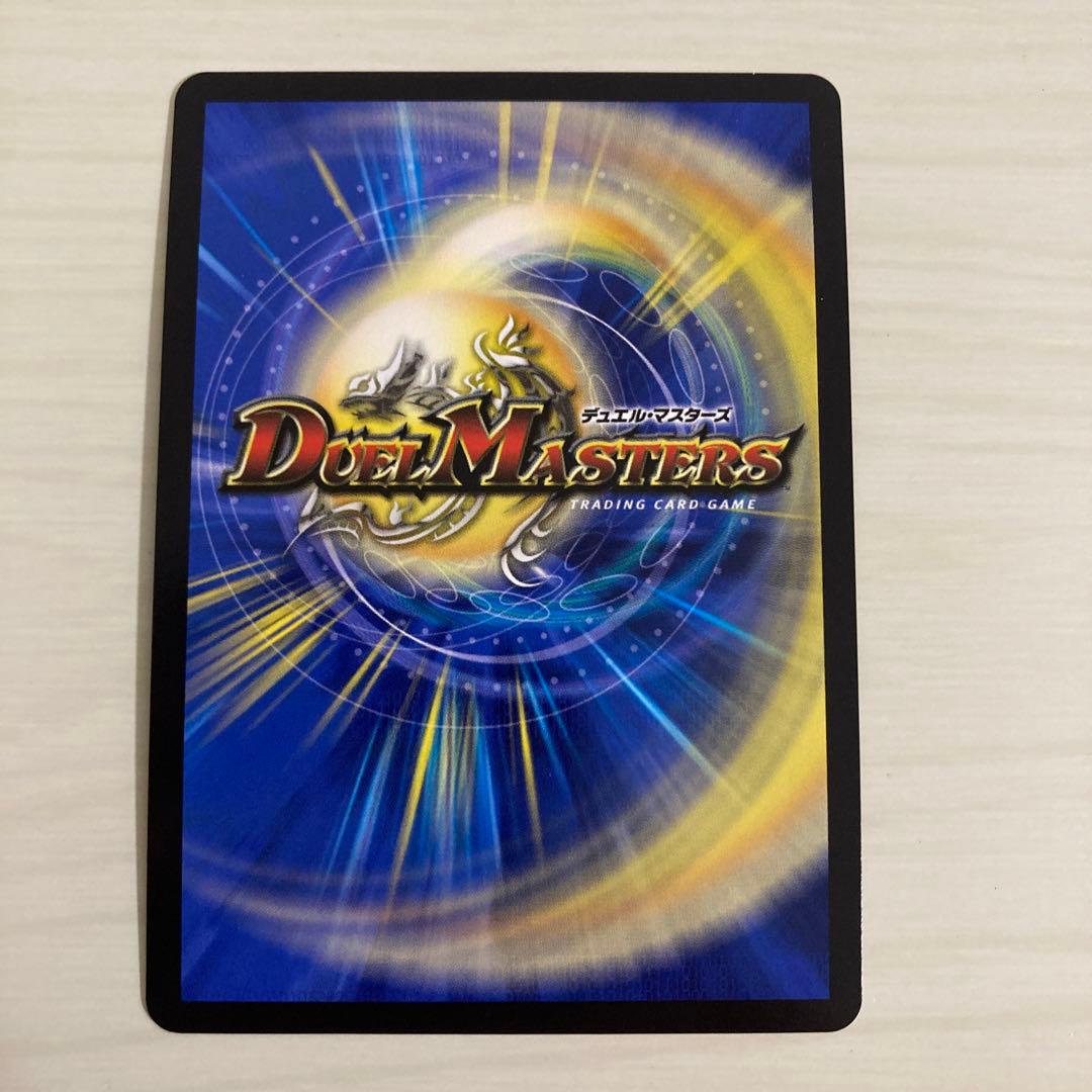 メルカリ便 聖霊超王 Hアルカディアス 秘 シク シークレット