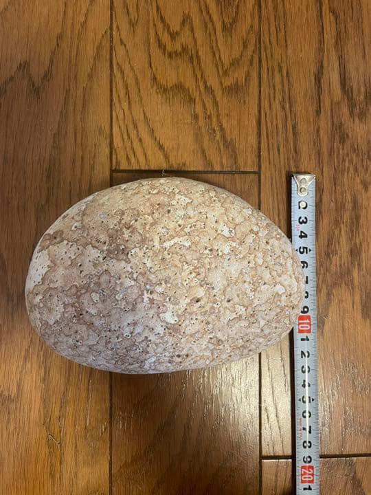 姫川薬石　上物　希少