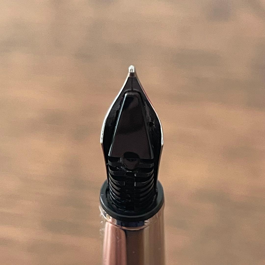 kzさま専用；CARAN d’ACHEマディソンⅡ万年筆