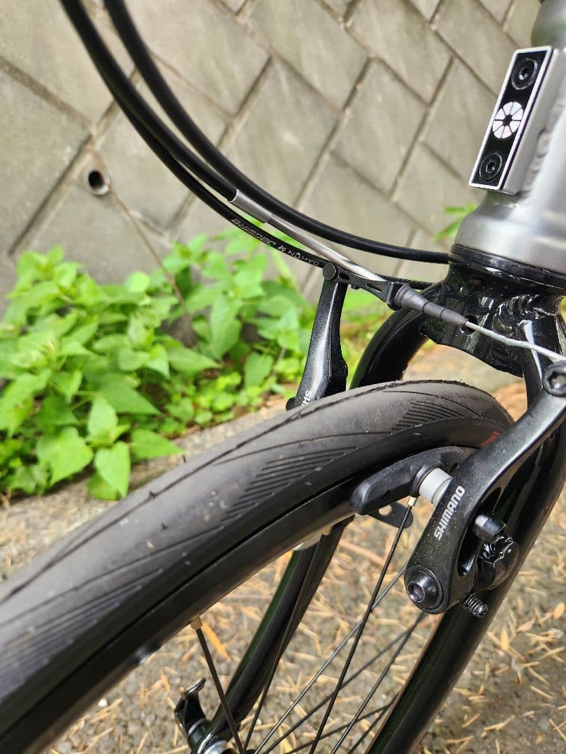 DAHON スピードファルコ　カスタム　マットシルバー