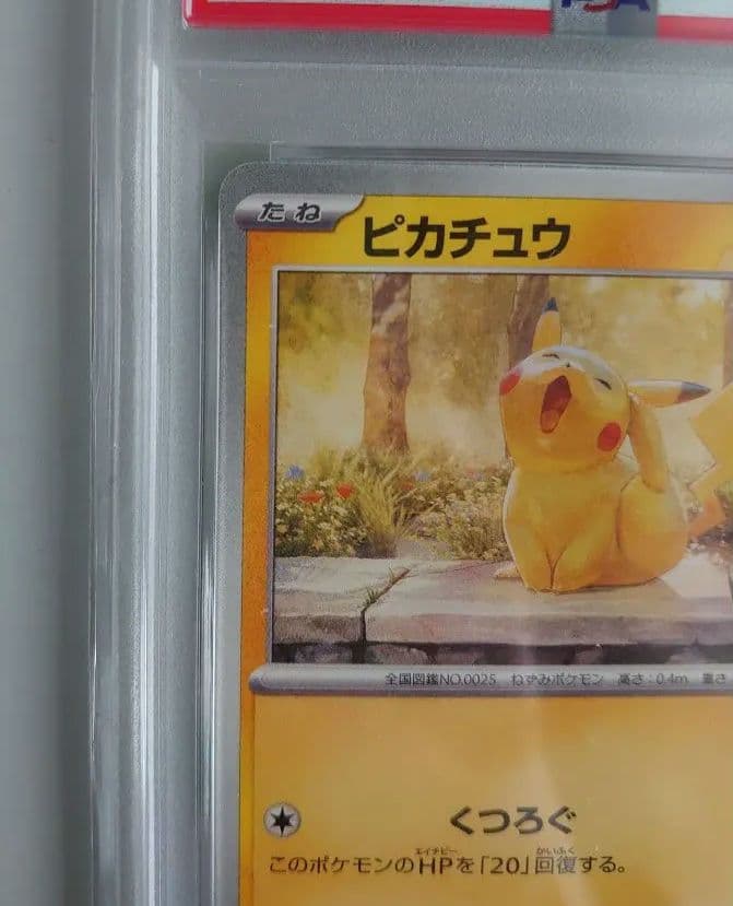 ピカチュウ 242/SV-P ILLUSTRATIONCONTES 2024