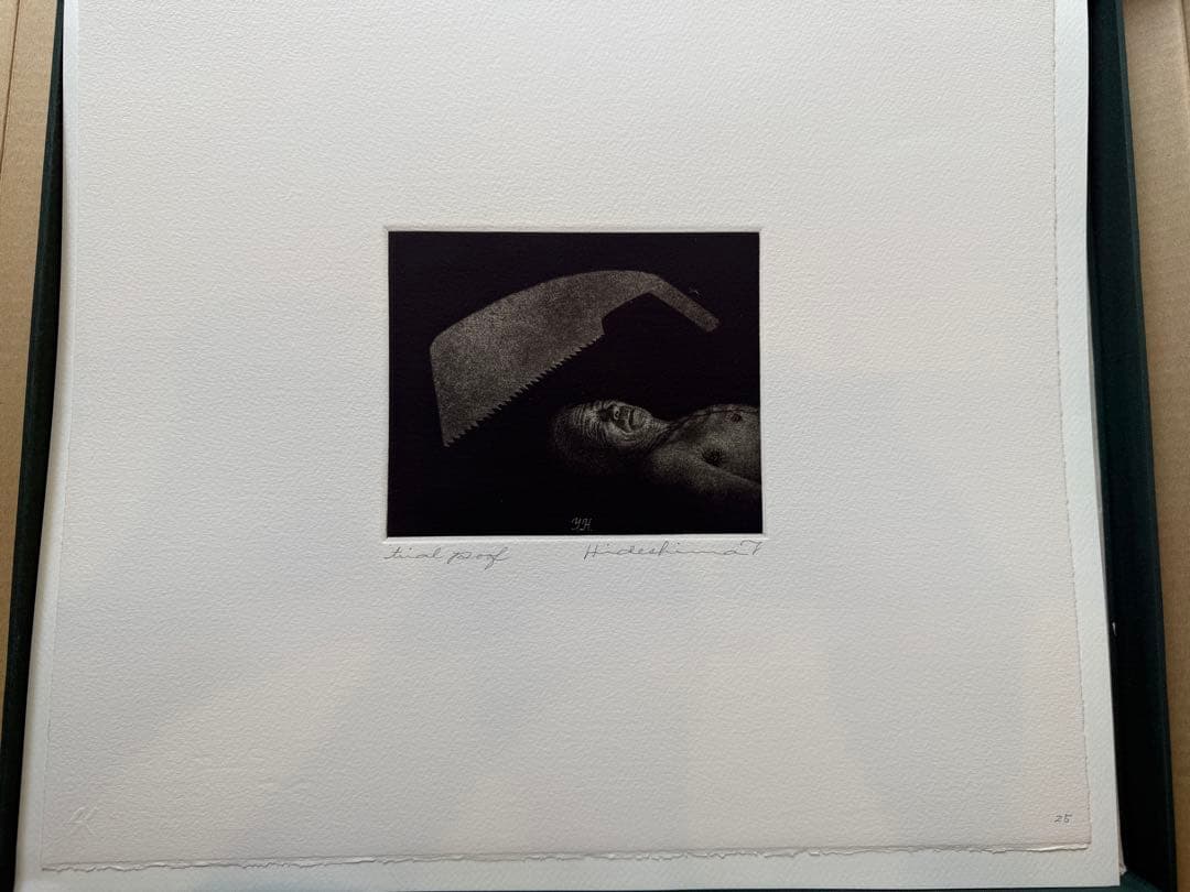 秀島由己男　版画集　春の城シリーズ　草の道