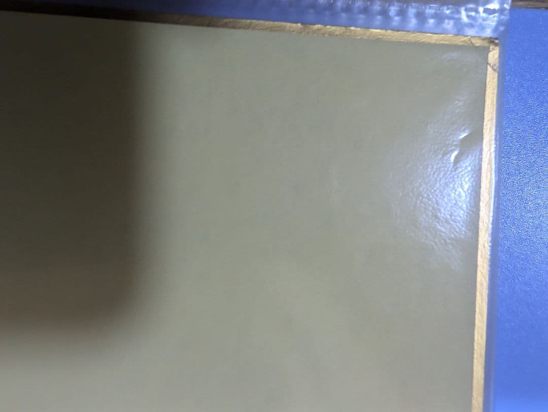 2019年11月5日本物‼️なでしこジャパン長谷川唯サイン入り色紙 #14