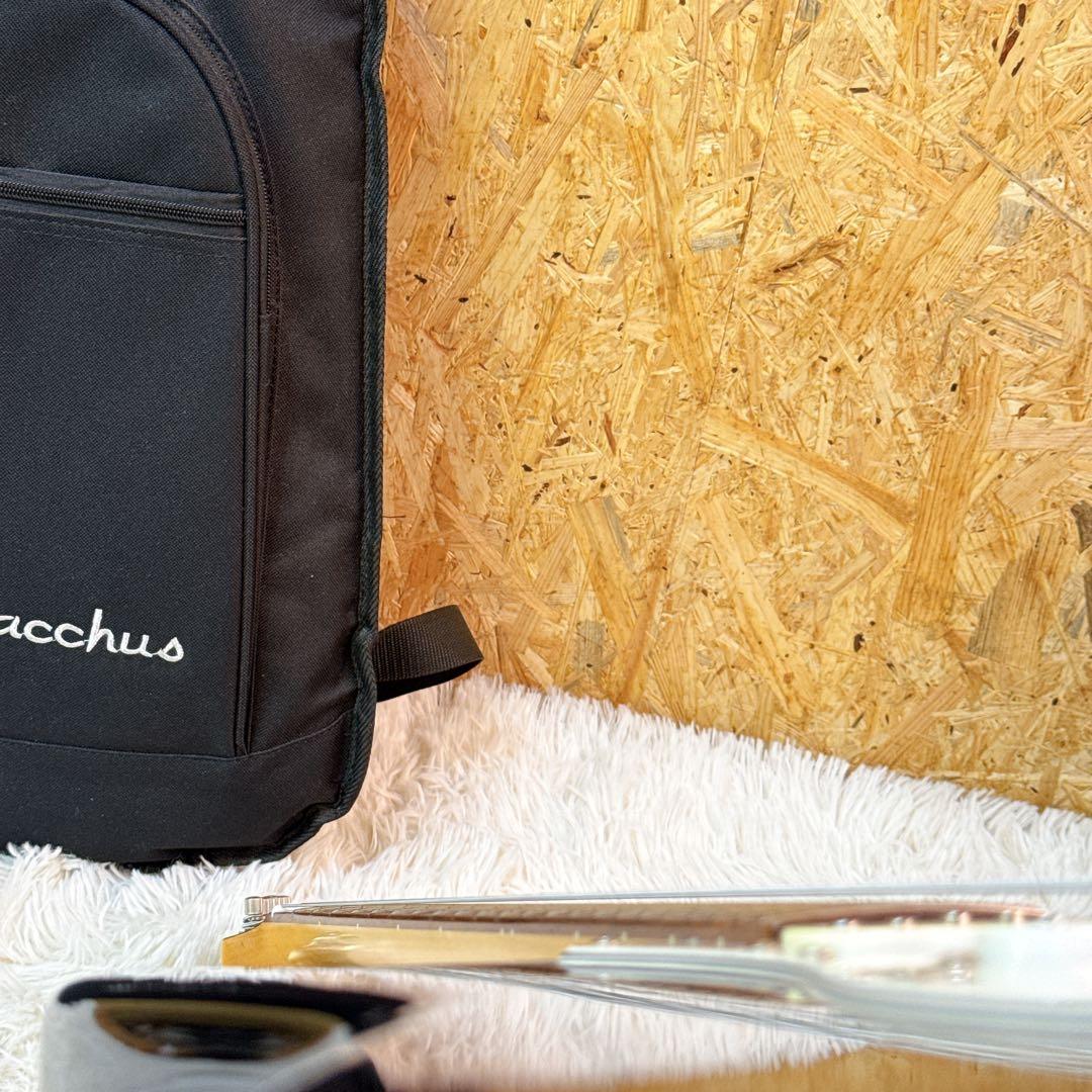 BACCHUS BST-TTC TRONICAL TUNE搭載 ストラトタイプ