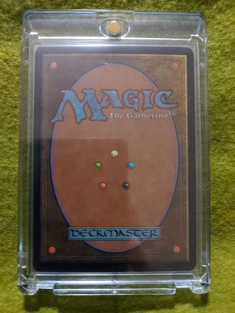 新品 ラノワールの荒原 LlanowarWastes foil 英語版 APC