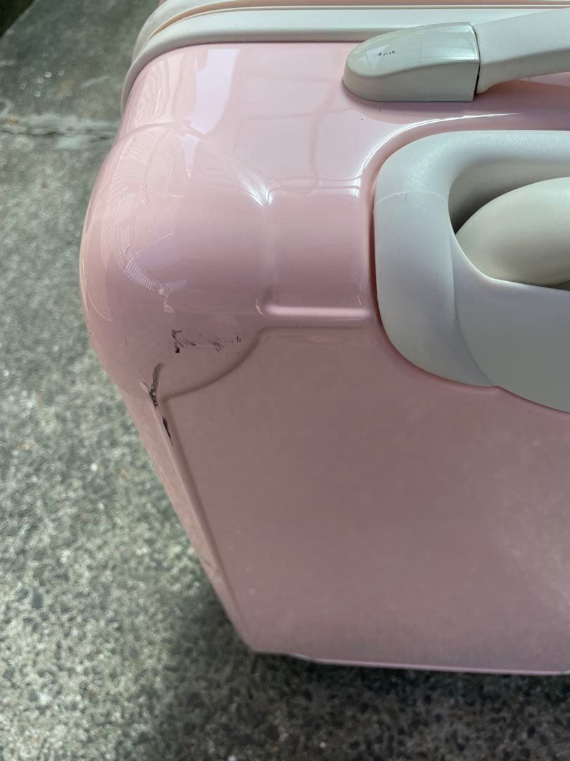 ミッキー＆ミニーのキャリーバッグ