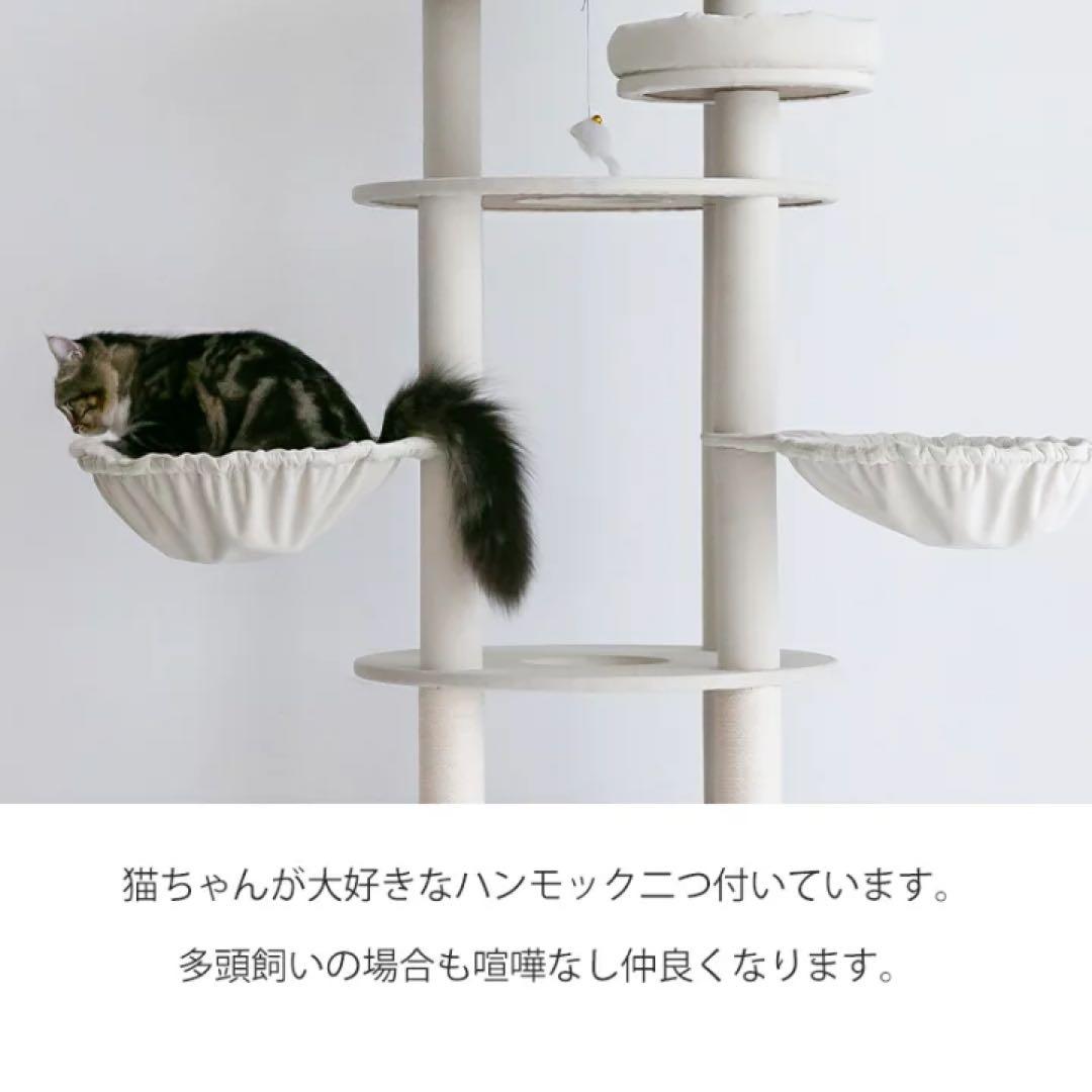 MWPO モロ キャットタワー 170cm