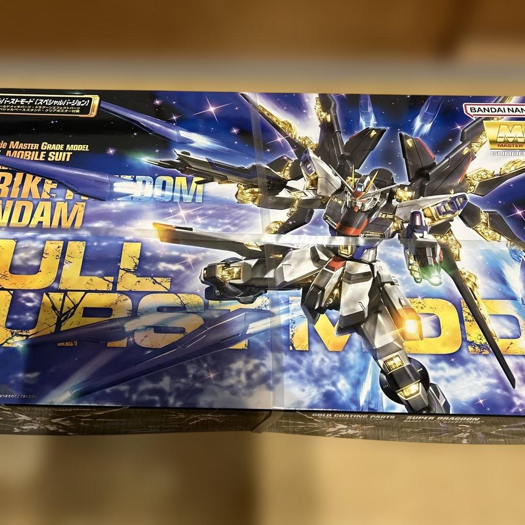 霧*子様 MG ストライクフリーダムガンダム & ♾️ジャスティスガンダム セッ