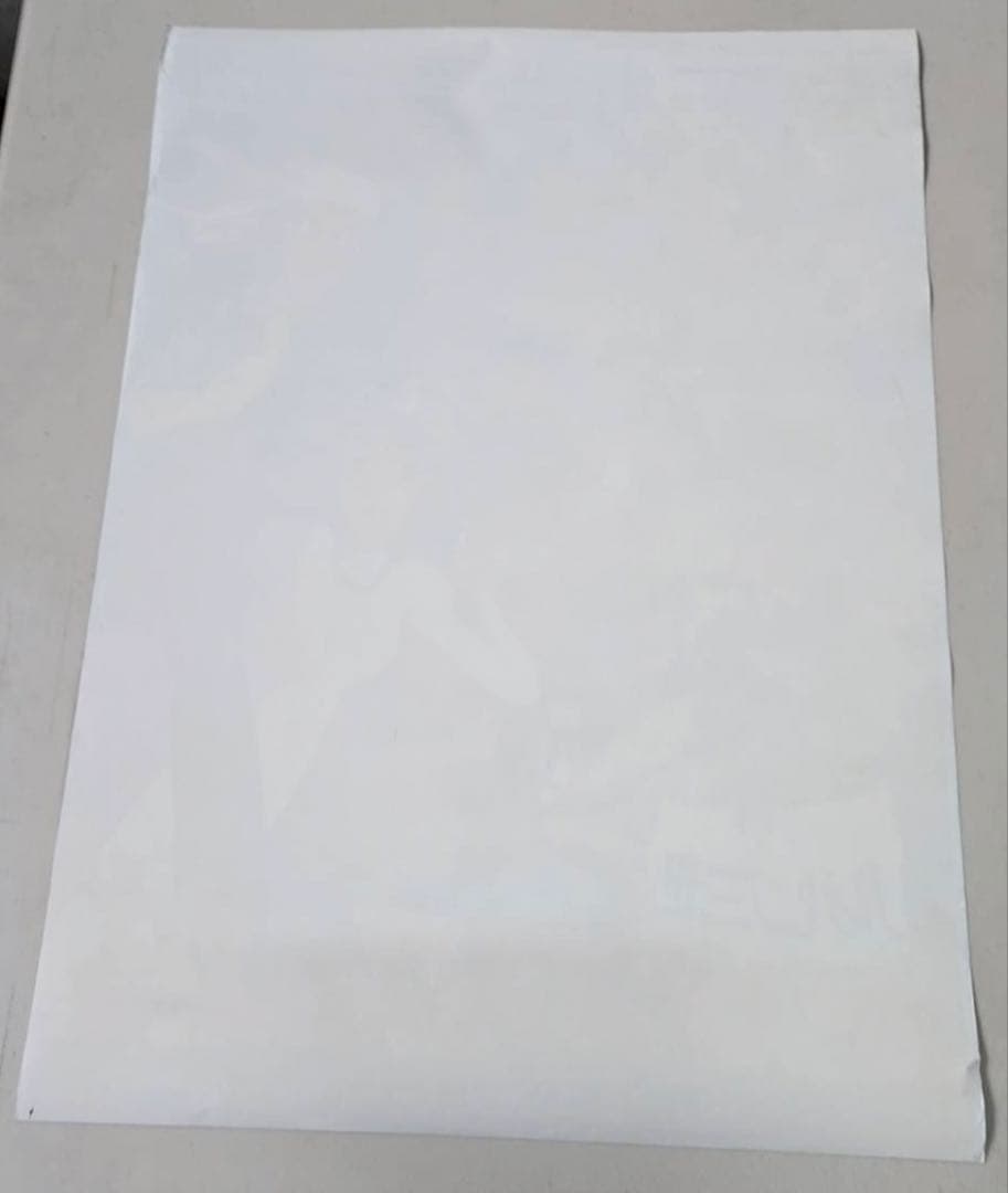 ルパン三世 カリオストロの城 ポスター B2