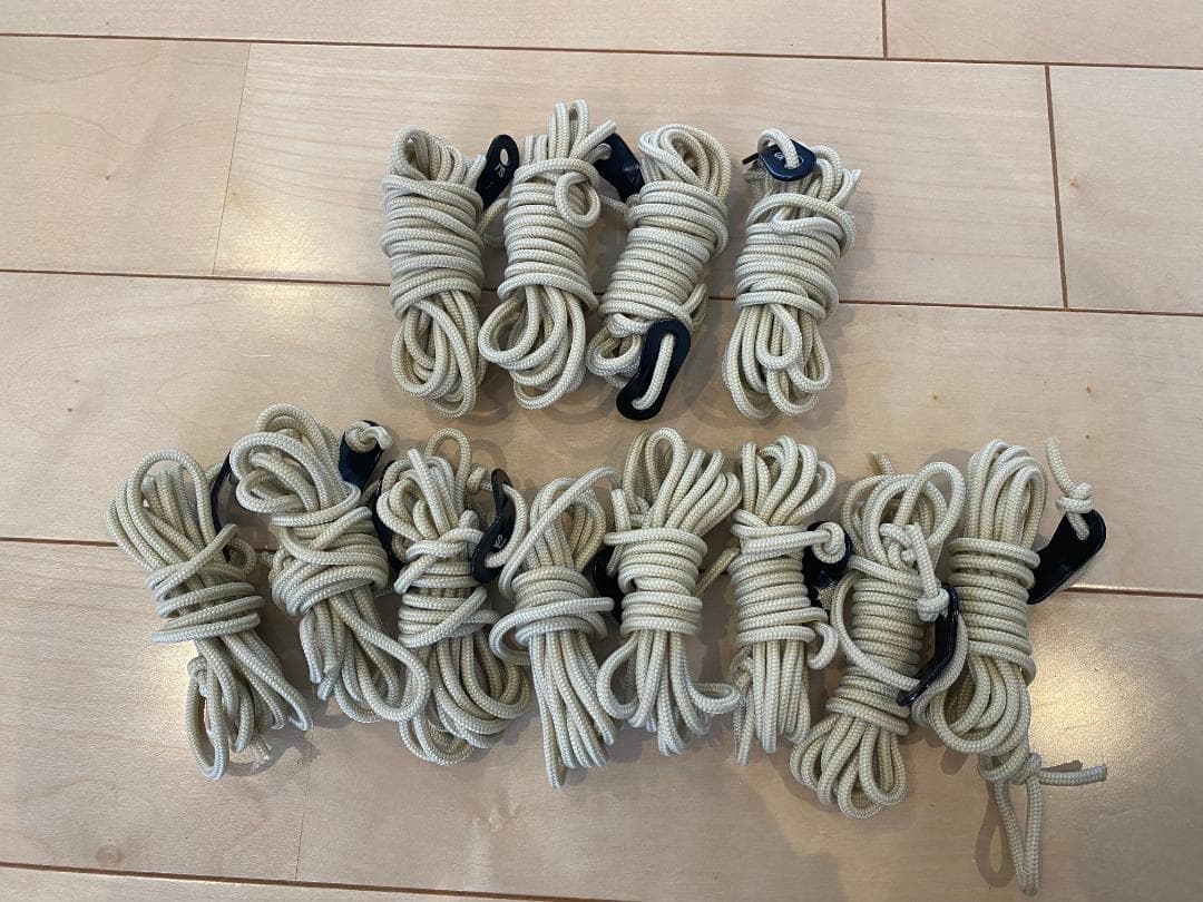 【美品】サバティカル　アルニカ