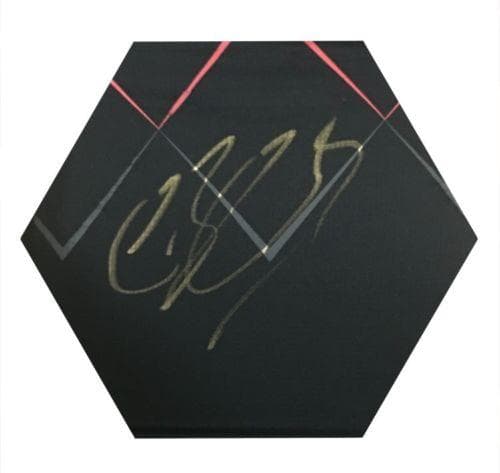 直筆サイン入りユニフォーム アレクサンダー・ズベレフ プロテニス選手