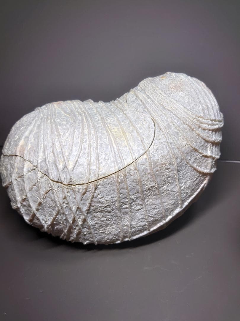 カネゴン 繭付き エクスプラス 大怪獣シリーズ