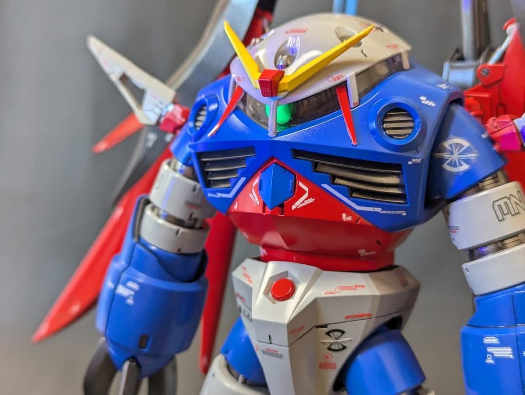 MGデスティニーズゴック（ MGズゴック、デスティニーニコイチ作品）値下げあり