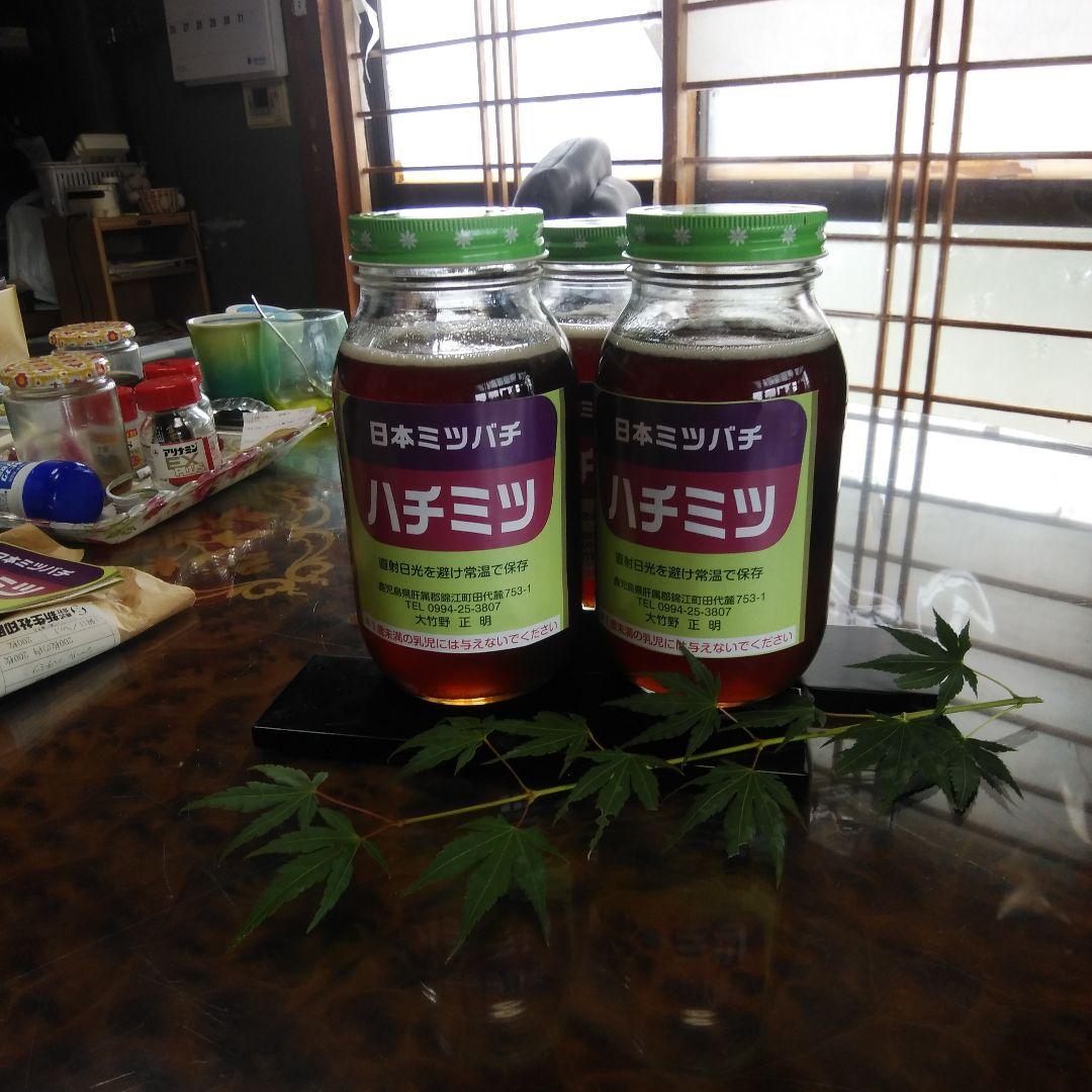 日本ミツバチのハチミツ瓶入り