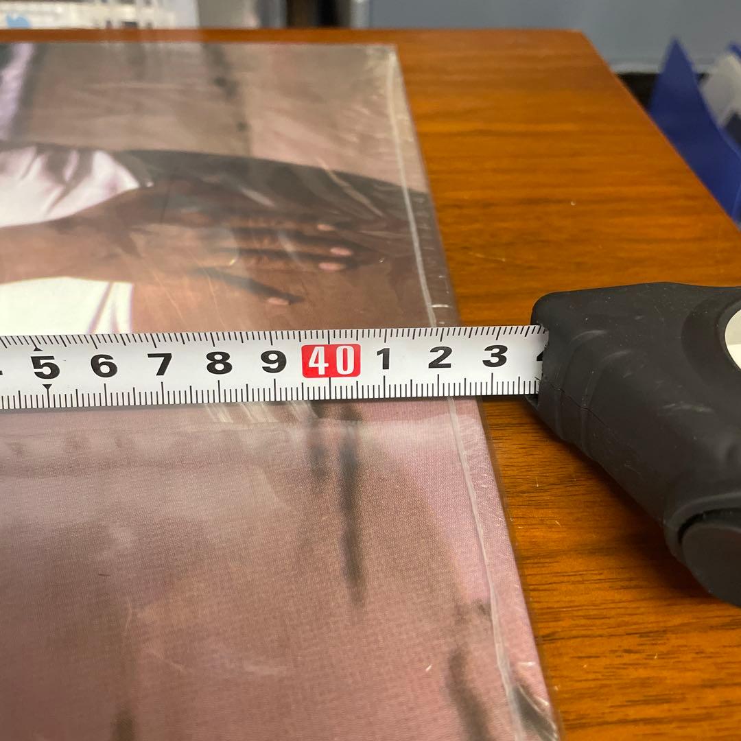 新品未掲示Marilyn Monroe スチール写真看板