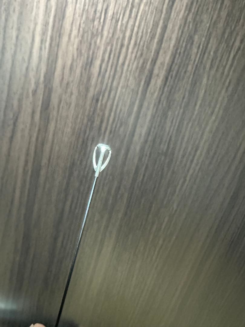 マスターモデル2尾長