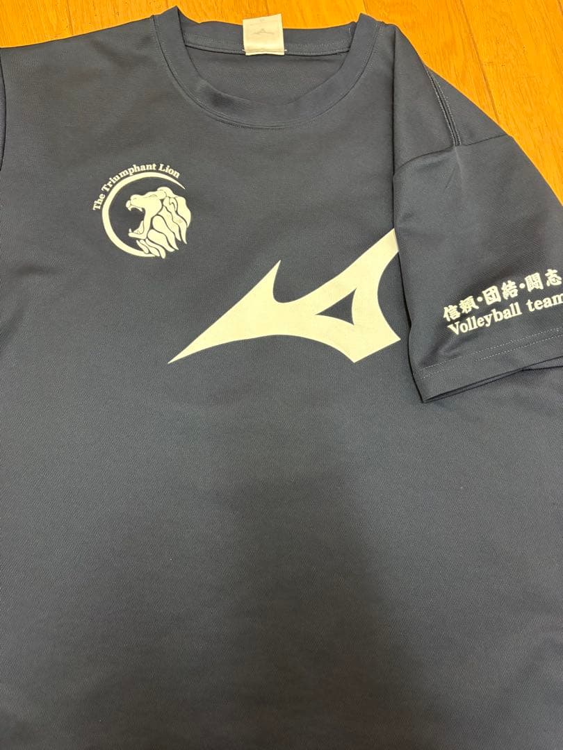 日本体育大学 バレーボール Tシャツ