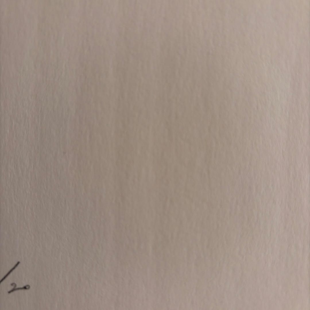 aicon works シルクスクリーン Flower アイコン XG