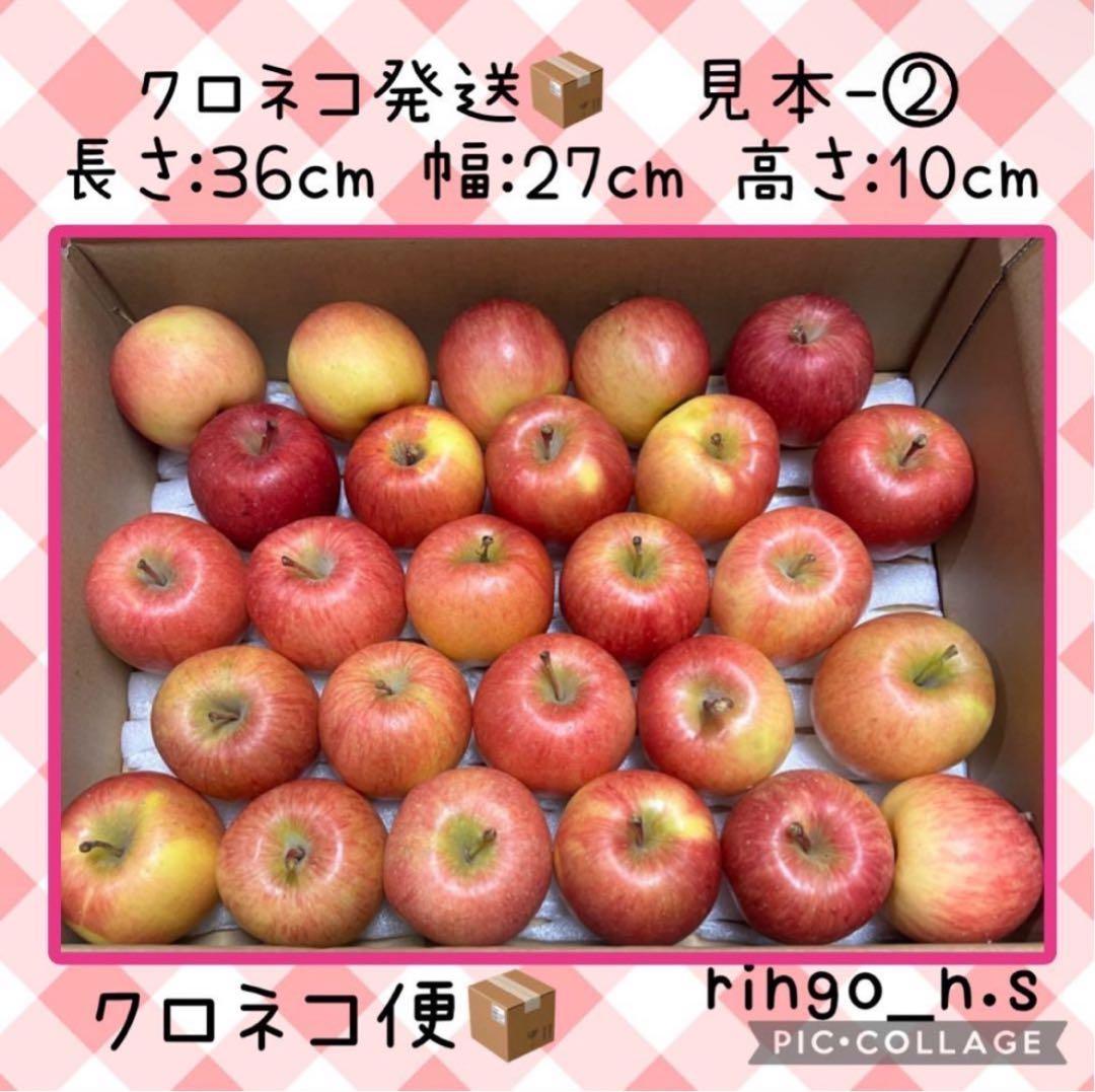 12/19発送 ◆特大箱◆ 幻の林檎　高徳　希少りんご　青森県産　クロネコ便