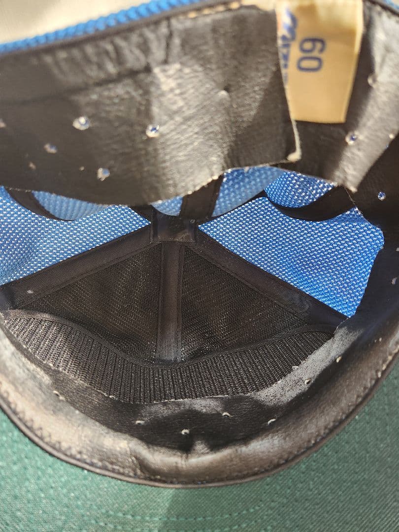 西武ライオンズ プロコレ