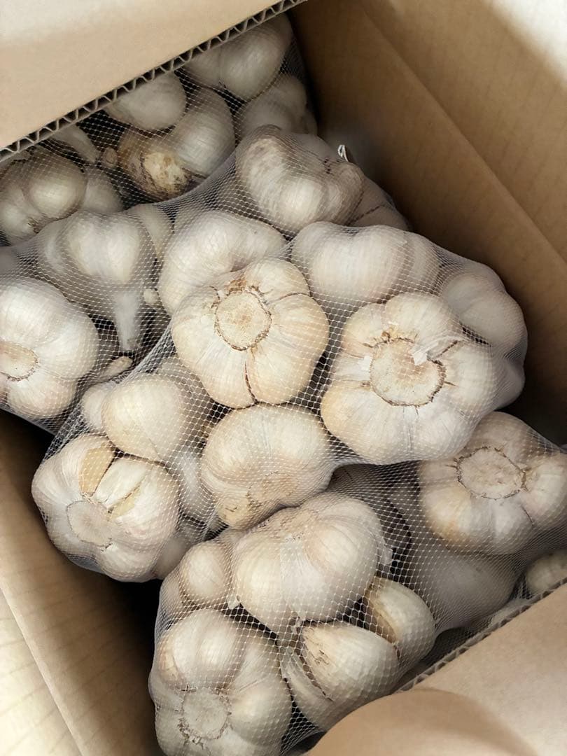 新物　青森県にんにく5Kg 2Ｌ