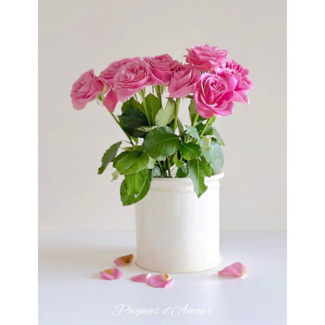 クレイユ・モントロー 白釉 コンフィチュールポット フランス アンティーク 特大