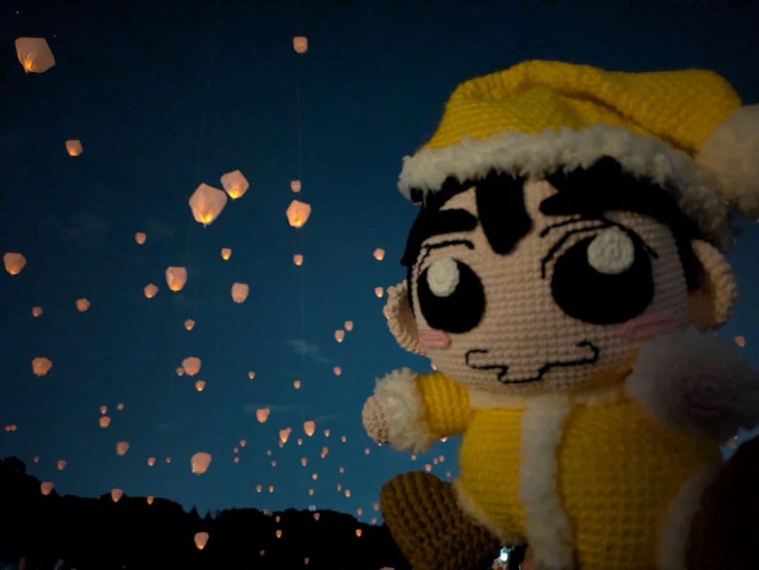 ももれもん様へのオーダー注文用の参考写真☆ （購入出来ません!） 同じ物２体☆