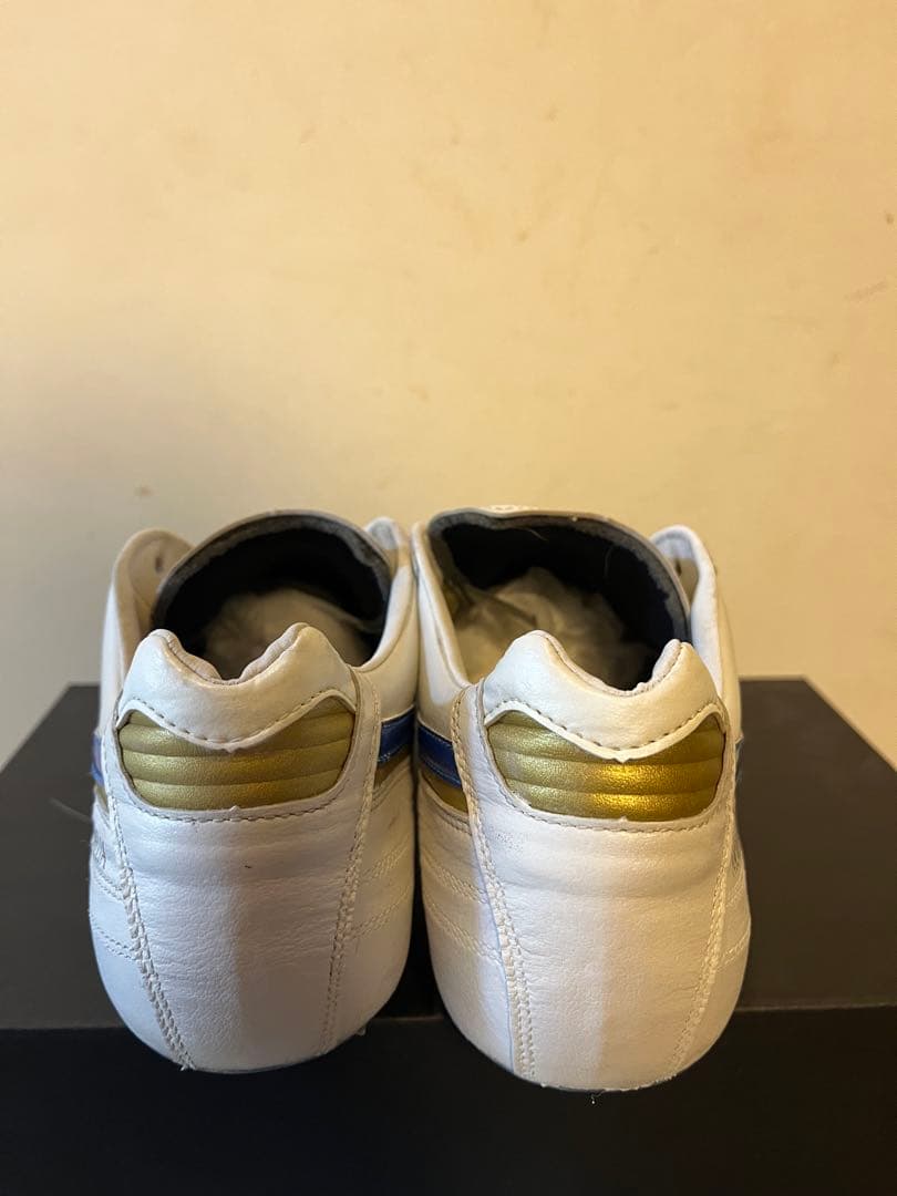 Mizuno Morelia Ⅱ JAPAN 25.0cm