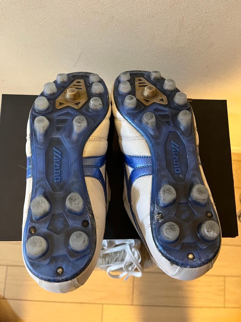 Mizuno Morelia Ⅱ JAPAN 25.0cm