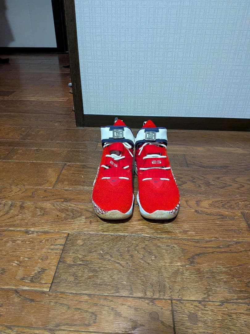 ナイキ バスケットボール レブロン 17 FP \"グラフィティーリミックス