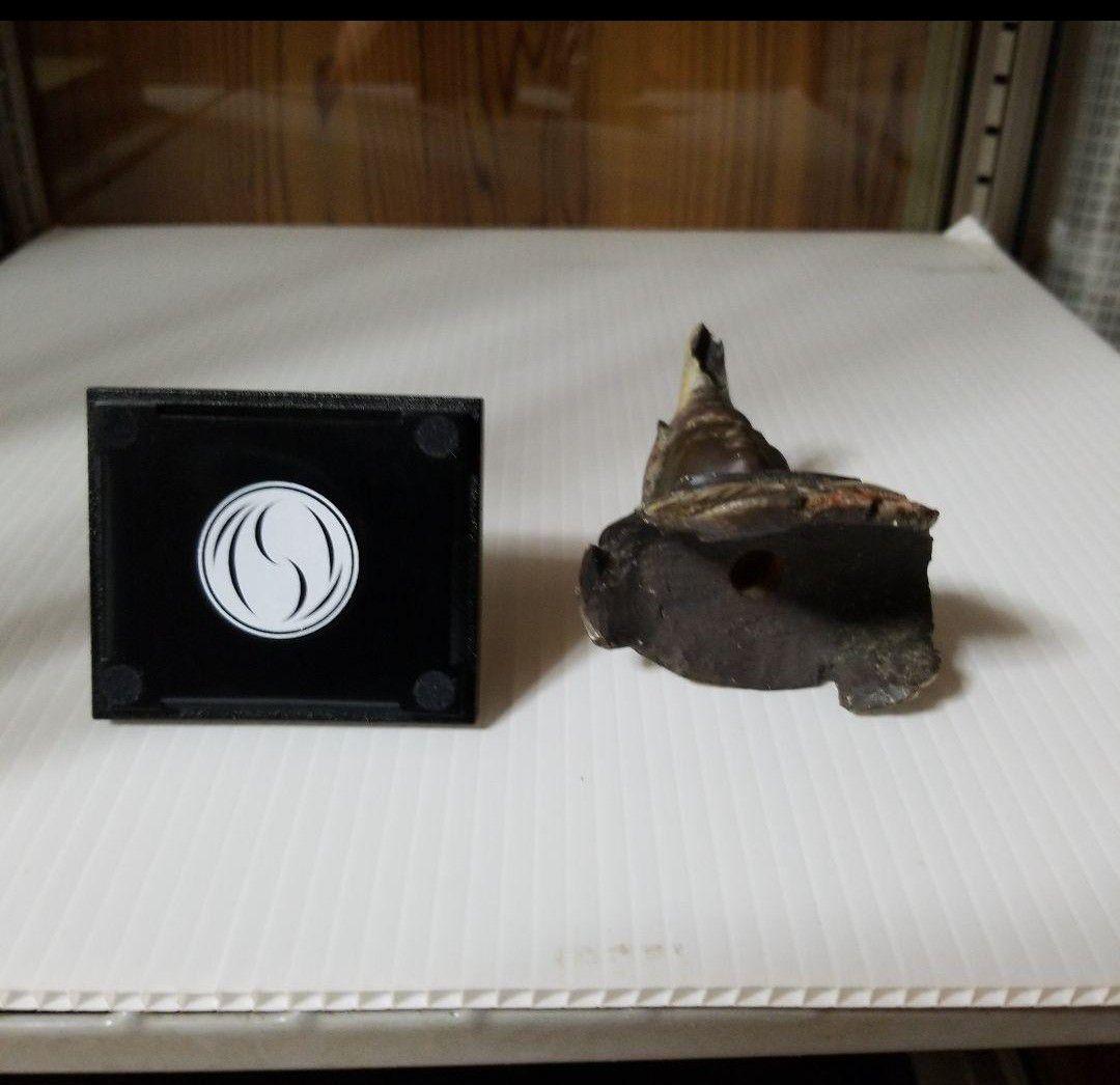 イスム イSム 仏像　レア　TanaCOCORO[掌] 五部浄