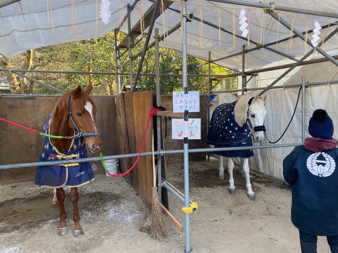 【勝運と馬の社】藤森神社、馬神神社、大馬神社、熊野本宮、往馬大社の御朱印セット