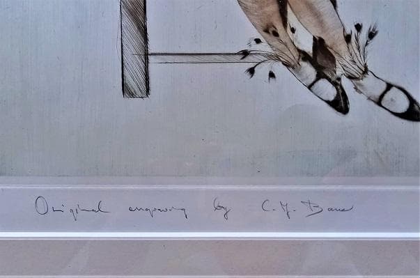 作者不詳サインはC.y bana　外国人画家による「踊り子」　リトグラフ　金縁額