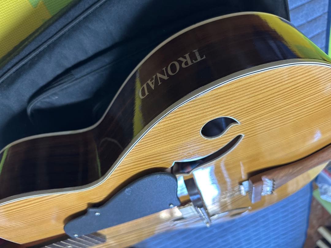 インド楽器 モハーンヴィーナ　Mohan Veena アコースティックギター